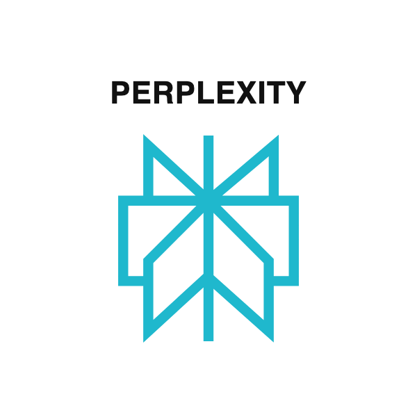 Perplexity
